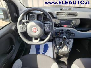 FIAT Panda usata, con Controllo trazione