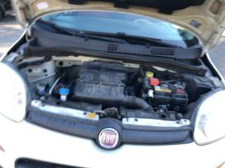 FIAT Panda usata 14