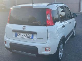 FIAT Panda usata, con Fendinebbia