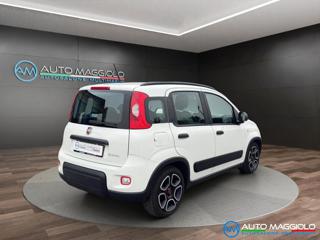 FIAT Panda usata, con Antifurto