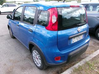 FIAT Panda usata, con Airbag Passeggero