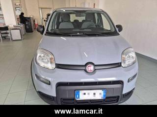 FIAT Panda usata, con Alzacristalli elettrici