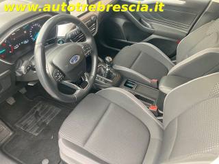 FORD Focus usata, con Cronologia tagliandi