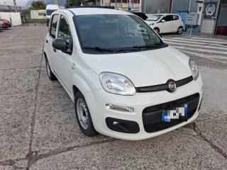 FIAT Panda usata, con Airbag Passeggero