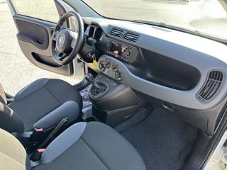 FIAT Panda usata, con ESP
