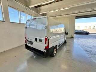 FIAT Ducato usata, con Climatizzatore