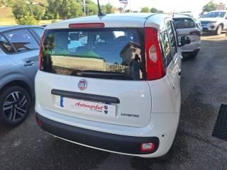 FIAT Pandina usata, con Airbag laterali