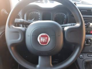 FIAT Panda usata, con USB