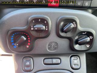 FIAT Panda usata, con Cronologia tagliandi