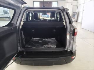 FORD EcoSport usata, con Servosterzo