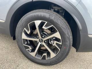 KIA Sportage usata, con Fendinebbia