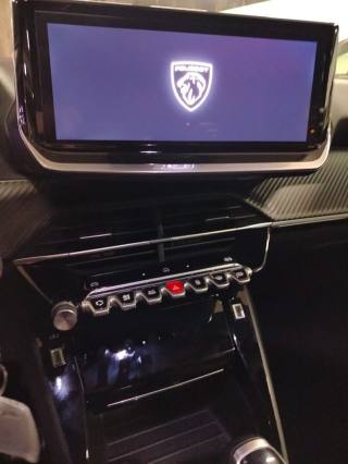 PEUGEOT 2008 usata, con Specchietti laterali elettrici