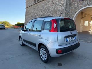 FIAT Panda usata 34