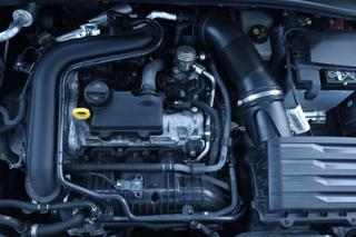 VOLKSWAGEN Polo usata, con Spoiler