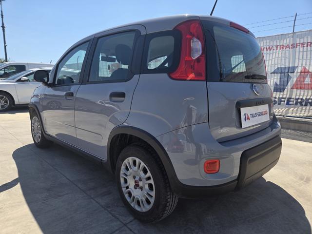 FIAT Panda usata, con Airbag Passeggero