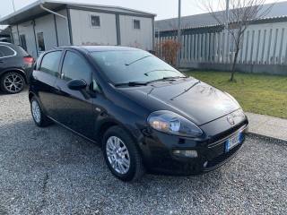 FIAT Punto usata, con Airbag Passeggero