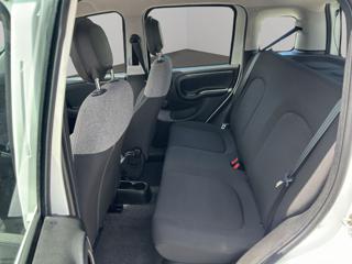 FIAT Panda usata, con Cronologia tagliandi