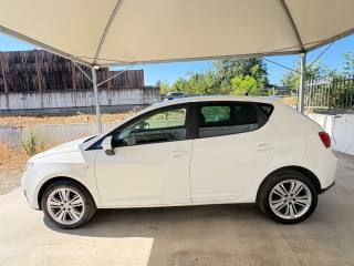 SEAT Ibiza usata, con Boardcomputer