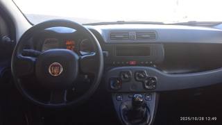 FIAT Panda usata 19