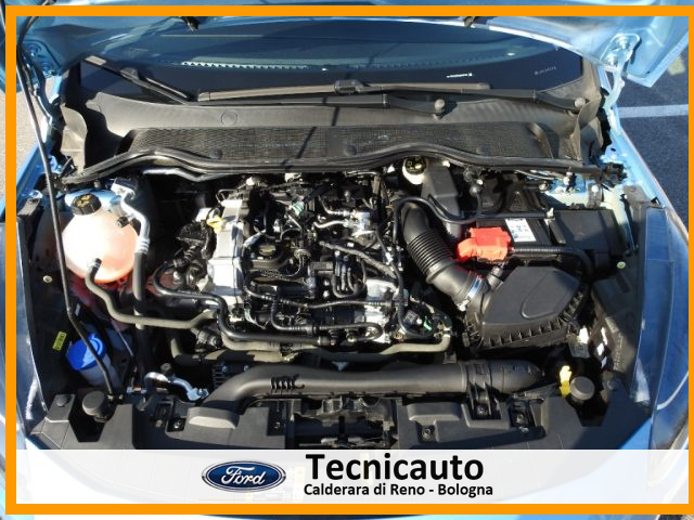 FORD Fiesta usata, con Riconoscimento dei segnali stradali