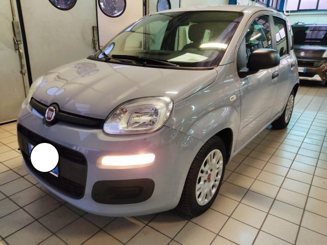 FIAT Panda usata, con Airbag Passeggero