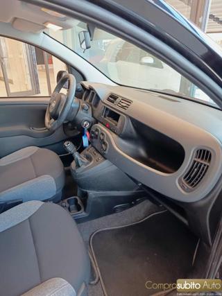 FIAT Panda usata 18