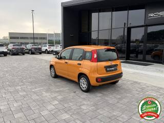 FIAT Panda usata, con Cronologia tagliandi