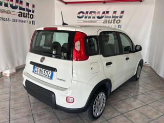 FIAT Panda usata, con Airbag Passeggero