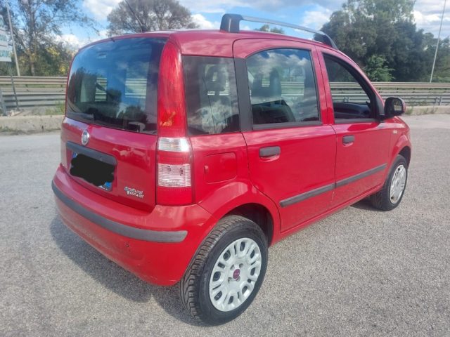 FIAT Panda usata 5