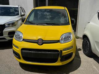 FIAT Panda usata, con Airbag