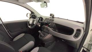 FIAT Panda usata 44