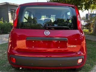 FIAT Panda usata, con Antifurto