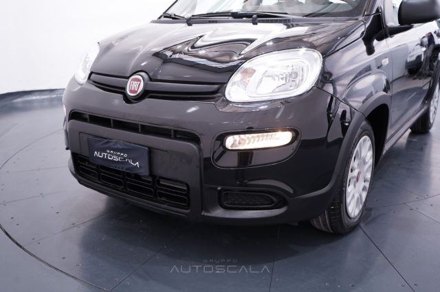 FIAT New Panda usata 20