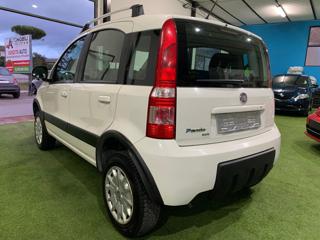 FIAT Panda usata 13