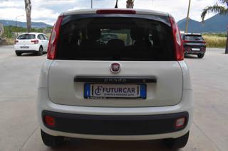 FIAT Panda usata 12