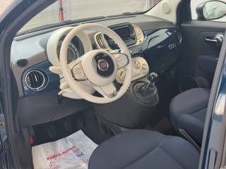 FIAT 500 usata 15