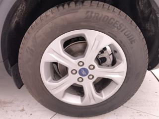 FORD Kuga usata, con Volante multifunzione