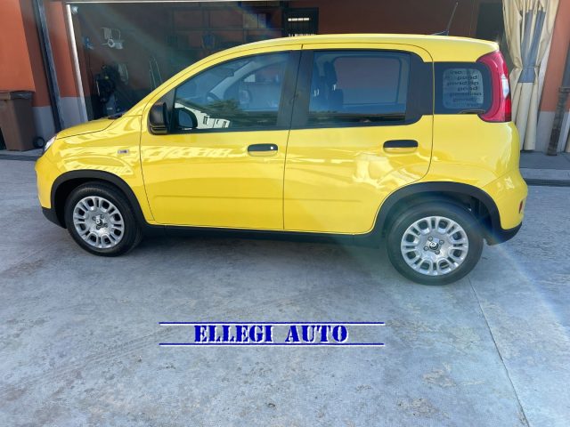 FIAT Panda usata, con Boardcomputer