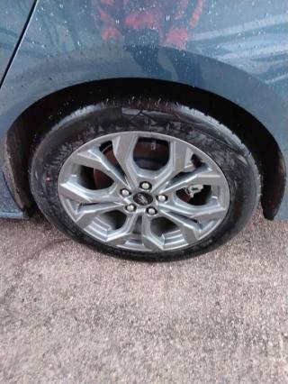 FORD Focus usata, con Park Distance Control