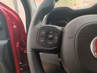 FIAT Panda Cross usata, con Immobilizzatore elettronico