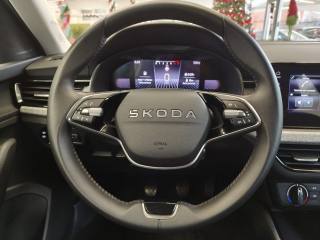 SKODA Kamiq usata, con Cruise Control