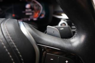 BMW 530 usata, con Vivavoce