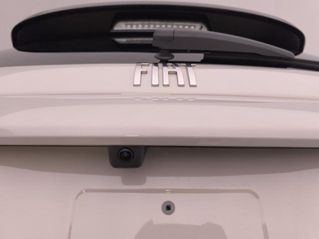 FIAT 600 usata, con Portellone posteriore elettrico
