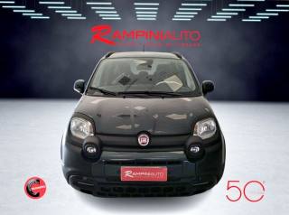 FIAT Panda usata 2