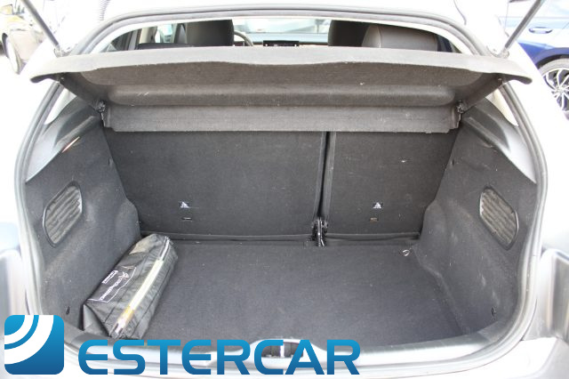 CITROEN C4 Cactus usata, con Sensore di luce