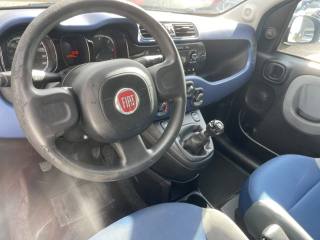 FIAT Panda usata 10