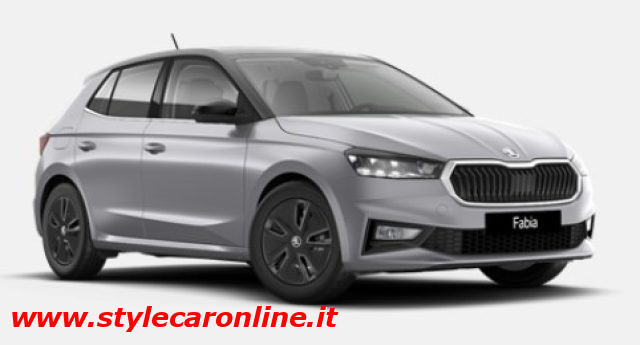 SKODA Fabia usata, con ABS
