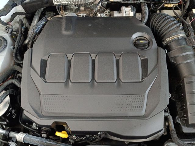 SKODA Karoq usata, con Autoradio digitale