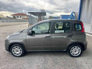 FIAT Panda usata, con Alzacristalli elettrici