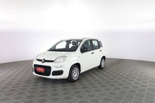 FIAT Panda Pandina 1.0 FireFly 65 CV Hybrid Icon